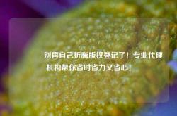🔥别再自己折腾版权登记了！专业代理机构帮你省时省力又省心！