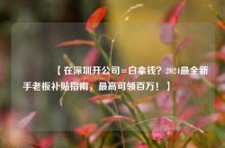 🔥【在深圳开公司=白拿钱？2024最全新手老板补贴指南，最高可领百万！】🔥