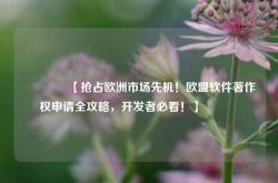 🔥【抢占欧洲市场先机！欧盟软件著作权申请全攻略，开发者必看！】🔥