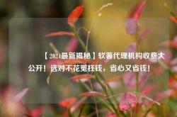 🔥【2024最新揭秘】软著代理机构收费大公开！选对不花冤枉钱，省心又省钱！