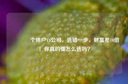 🔥个体户VS公司，选错一步，财富差10倍！你真的懂怎么选吗？