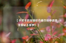 🔥【手把手教你填软件著作权申请表，3天拿证不是梦！】🔥