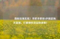 🔥商标出海无忧！手把手教你3步搞定海关备案，拦截侵权货品快准狠！