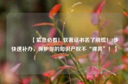 📢【紧急必看！软著证书丢了别慌！3步快速补办，保护你的知识产权不“裸奔”！】