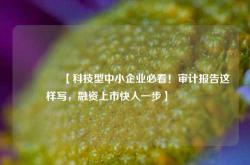 🔥【科技型中小企业必看！审计报告这样写，融资上市快人一步】🔥
