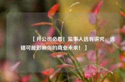 🌟【开公司必看！监事人选有讲究，选错可能影响你的商业未来！】🌟