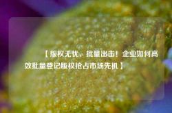 🔥【版权无忧，批量出击！企业如何高效批量登记版权抢占市场先机】🔥