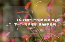 🔥【科技型中小企业逆袭风口！北交所上市，下一个“专精特新”独角兽就是你！】🔥