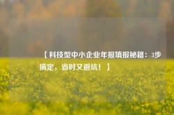 🔥【科技型中小企业年报填报秘籍：3步搞定，省时又避坑！】🔥