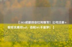 🔥【2024成都创业红利爆发！公司注册+税收优惠双buff，省税30%不是梦！】🔥