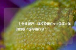 🔥【全球通行！版权登记在WTO国家=你的创意“国际通行证”】🔥