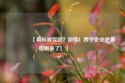 🔥【商标被驳回？别慌！西宁企业逆袭指南来了！】🔥