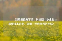 🔥别再傻傻分不清！科技型中小企业 vs 高新技术企业，选错一步影响百万补贴！
