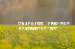 🔥软著证书丢了别慌！3步快速补办指南，保护你的知识产权不“裸奔”！