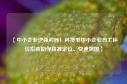 【中小企业逆袭利器！科技型中小企业自主评价指南助你精准定位、快速突围】