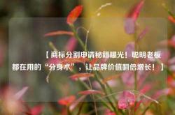 🔥【商标分割申请秘籍曝光！聪明老板都在用的“分身术”，让品牌价值翻倍增长！】🔥