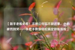 【新手老板必看！注册公司后不做这事，小心被罚到哭——手把手教你轻松搞定做账报税】