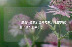 🔥【融资or贷款？选对方式，让你的资金“滚”起来！】🔥