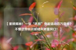 【重磅揭秘！一张“执照”竟能撬动百万商机？不懂这些你可能错失财富风口！】