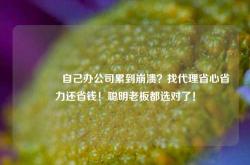 🔥自己办公司累到崩溃？找代理省心省力还省钱！聪明老板都选对了！