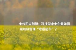 🔥小公司大创新：科技型中小企业如何用项目管理“弯道超车”？