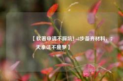 🔥【软著申请不踩坑！3步备齐材料，7天拿证不是梦】🔥