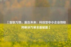【智联万物，赢在未来：科技型中小企业物联网解决方案全面赋能】