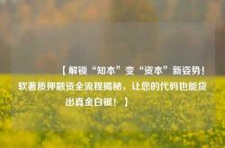 🔥【解锁“知本”变“资本”新姿势！软著质押融资全流程揭秘，让您的代码也能贷出真金白银！】🔥