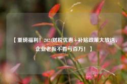 【重磅福利！2024财税优惠+补贴政策大放送，企业老板不看亏百万！】