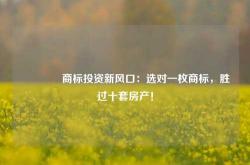 🔥商标投资新风口：选对一枚商标，胜过十套房产！