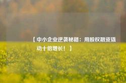 🔥【中小企业逆袭秘籍：用股权融资撬动十倍增长！】🔥
