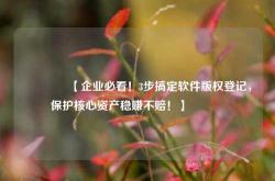 🔥【企业必看！3步搞定软件版权登记，保护核心资产稳赚不赔！】🔥