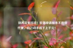 🔥别再花冤枉钱！软著申请根本不用找代理，自己动手省下上千元！