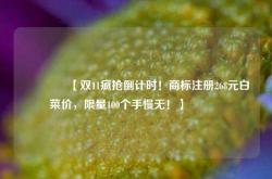 🔥【双11疯抢倒计时！商标注册268元白菜价，限量100个手慢无！】🔥