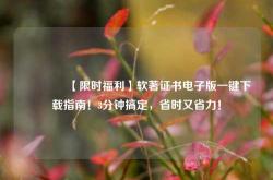 🔥【限时福利】软著证书电子版一键下载指南！3分钟搞定，省时又省力！
