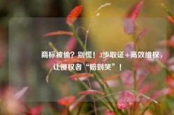 🔥商标被偷？别慌！3步取证+高效维权，让侵权者“赔到哭”！