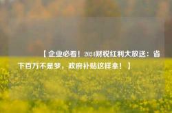 🔥【企业必看！2024财税红利大放送：省下百万不是梦，政府补贴这样拿！】🔥