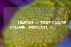 🔥【抢占风口！2025科技型中小企业政策红利全解析，不看就亏大了！】🔥