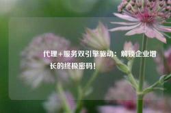 🔥代理+服务双引擎驱动：解锁企业增长的终极密码！🔥