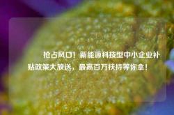 🔥抢占风口！新能源科技型中小企业补贴政策大放送，最高百万扶持等你拿！