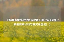 【科技型中小企业崛起秘籍：用“自主评价”解锁政策红利与融资加速器！】