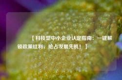 🔥【科技型中小企业认定指南：一键解锁政策红利，抢占发展先机！】🔥