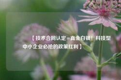 🔥【技术合同认定=真金白银！科技型中小企业必抢的政策红利】🔥