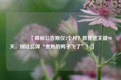 🔥【商标公告期仅3个月？抓住这关键90天，别让品牌“煮熟的鸭子飞了”！】🔥