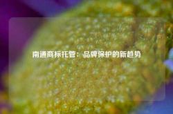 南通商标托管：品牌保护的新趋势