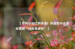 🔥【专利补贴红利来袭！科技型中小企业速领“创新加油包”】🔥