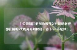 🔥【公司刚注册别急着开张！聪明老板都在用的5大税务筹划秘籍，省下30%不是梦！】🔥