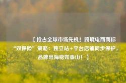 🔥【抢占全球市场先机！跨境电商商标“双保险”策略：独立站+平台店铺同步保护，品牌出海稳如泰山！】