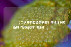 🔥【二次开发也能拿软著？揭秘你不知道的“合法变现”捷径！】🔥