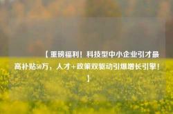 🔥【重磅福利！科技型中小企业引才最高补贴50万，人才+政策双驱动引爆增长引擎！】